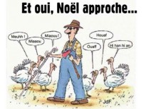 Tee shirt Reno jaune 