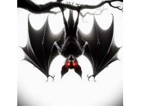 Tee shirt Reno rouge 