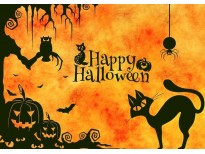 Pack gants & genouillères en noir & rouge